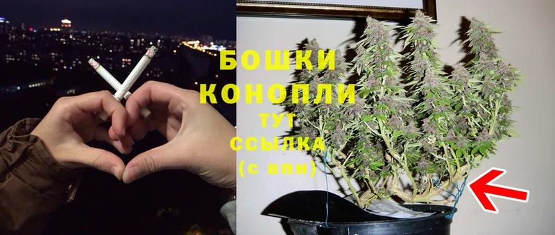 это Telegram  купить закладку  Оха  Бошки марихуана Amnesia 